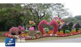 中山公园最新爆料消息,神秘项目即将揭开面纱，历史与现代的交融盛宴