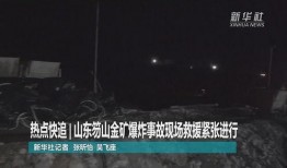 山东最新爆料事件视频完整版,视频揭露惊人真相，完整版震撼来袭！