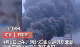 定州最新事件爆料视频大全,视频爆料揭示惊人真相
