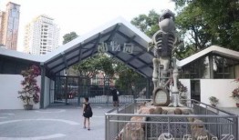 中山公园最新爆料消息,神秘项目即将揭开面纱，历史与现代的交融盛宴