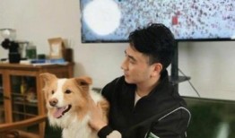 林生斌最新动画片爆料
