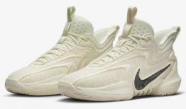 nike最新篮球鞋爆料,科技与时尚的完美融合