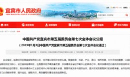 四川宜宾最新爆料消息,揭秘宜宾神秘事件背后的真相